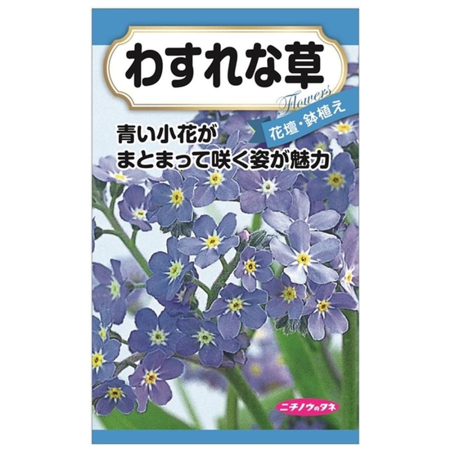 わすれな草 種・小袋 （0.2ml） 固定種 : 苗木部 花ひろばオンライン