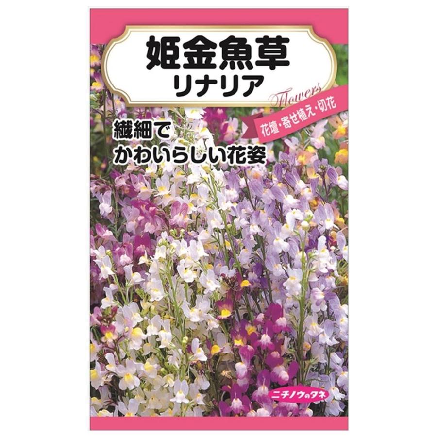 リナリア （姫金魚草） 種・小袋 （0.3ml） 固定種 爆買 : 苗木部 花