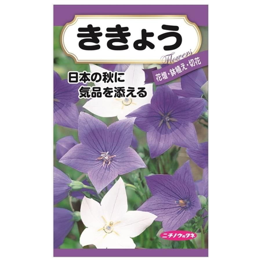 桔梗 種・小袋 （0.3ml） 固定種 爆買いweek : 苗木部 花ひろば