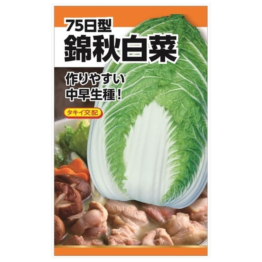白菜 タキイ交配 錦秋白菜 種・小袋 （1.5ml） F1（一代交配種