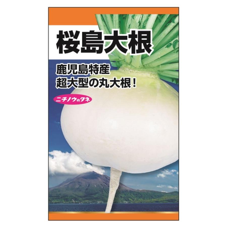 大根 桜島大根 種・小袋 （12ml） 固定種 : 苗木部 花ひろばオンライン