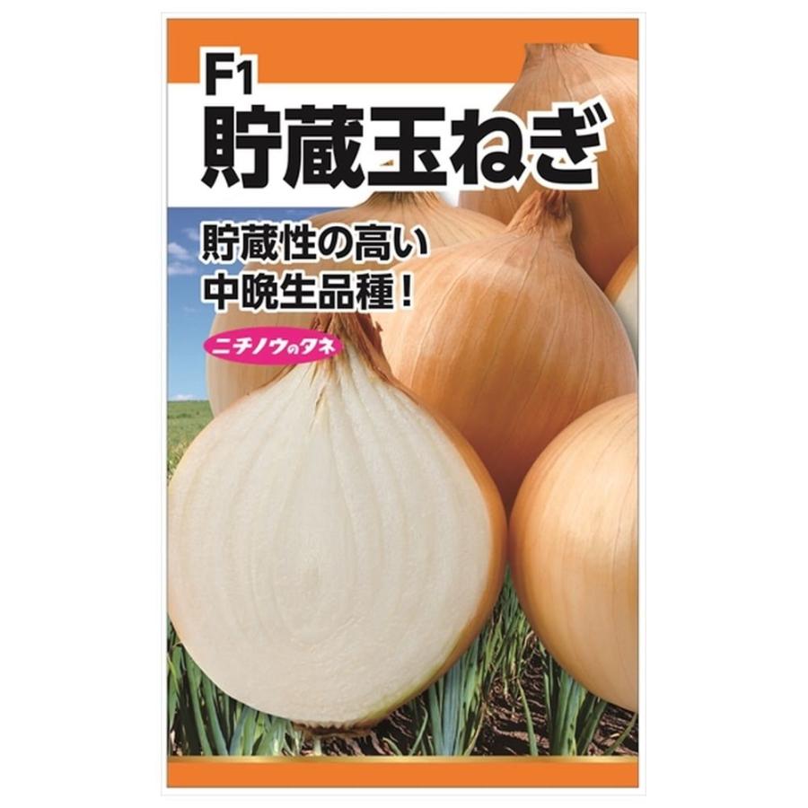 たまねぎ F1貯蔵玉ねぎ 種・小袋 （3ml） 爆買いweek : 苗木部 花
