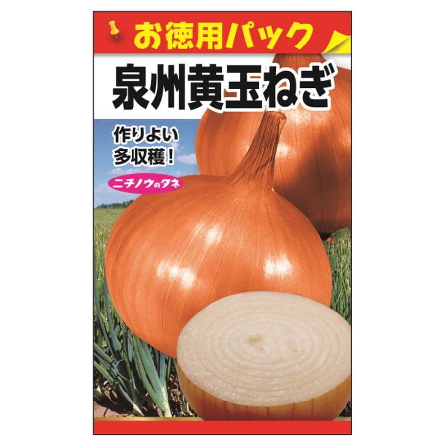 たまねぎ 泉州黄玉ねぎ(お徳用パック) 種・小袋 （15ml） 固定種