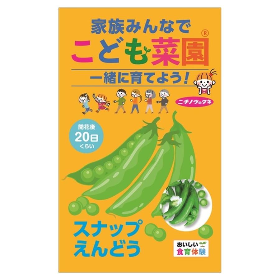 こども菜園 スナップえんどう 種・小袋 （15ml） 固定種 爆買 : 苗木部