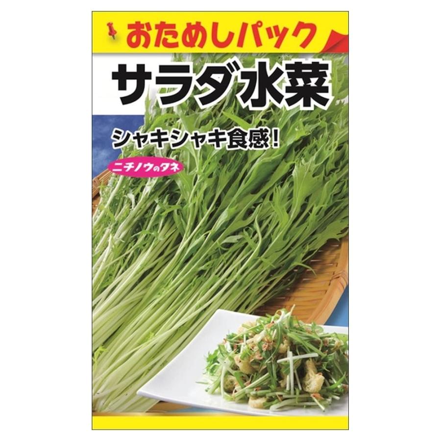 サラダ水菜 (おためしパック) 種・小袋 （0.5ml） 爆買いweek : 苗木部