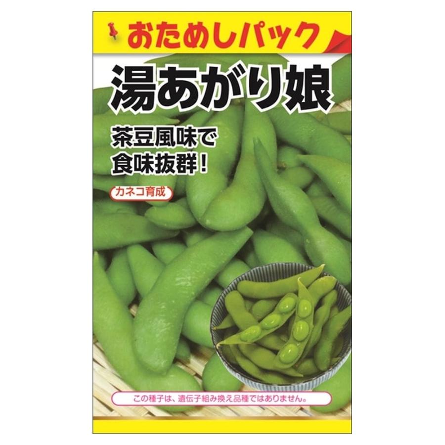 枝豆 湯あがり娘 種・小袋 (おためしパック15粒） 爆買いweek : 苗木部 