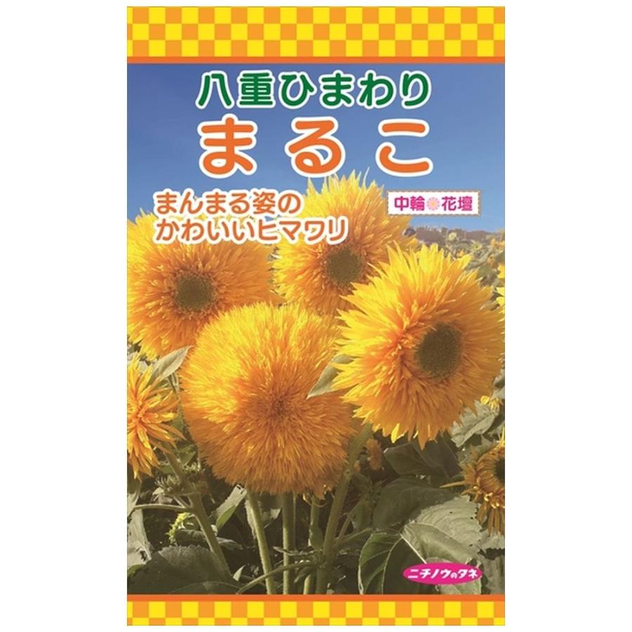 ひまわり 札幌八重まるこ 種・小袋 （1ml） 登録品種・品種登録 爆買い
