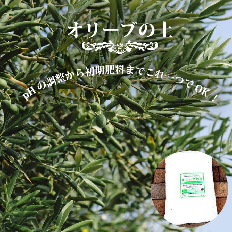 オリーブの土 肥料入り 3袋セット販売 42ｌ オリーブ 鉢植え専用 培養土 北海道 沖縄 離島不可 Tsuchi Ori Bu X5 苗木部 花ひろばオンライン 通販 Yahoo ショッピング