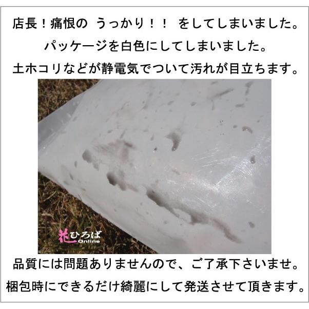 ブルーベリー ツツジの地植えに使う土 北海道ピートモス 福 14l Tsuchi Pi Tomosu l 苗木部 花ひろばオンライン 通販 Yahoo ショッピング