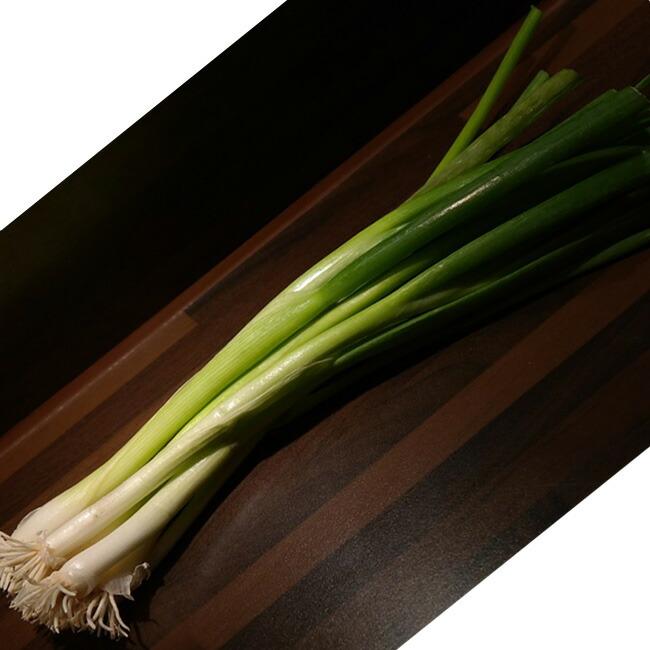 わけぎ（分葱） 球根 200g 国産（茨城県産） （植え付け時期10月下旬