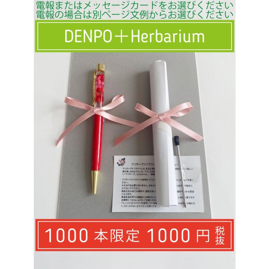 hanahito DENPO 〜ハーバリウムボールペン｜hanahito｜02