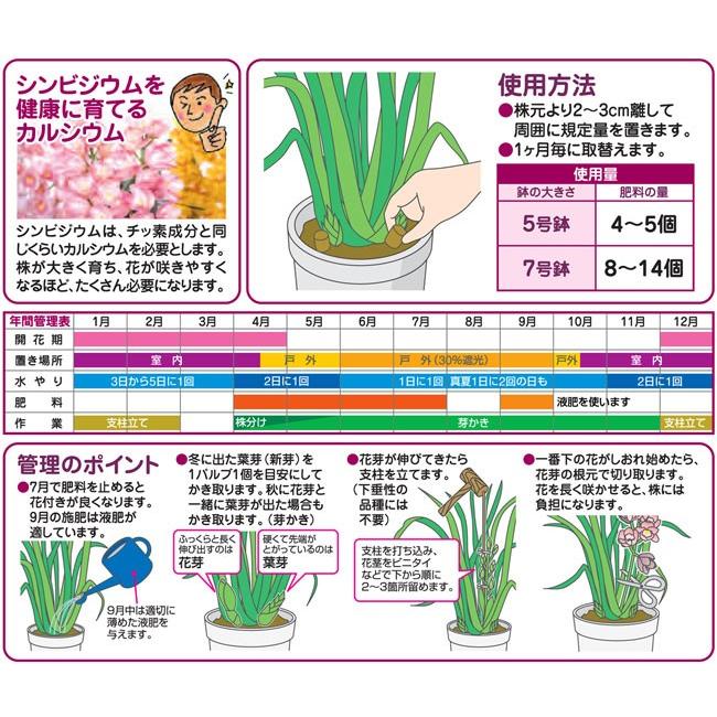 洋らんの置き肥 500ｇ Ha Hiryo 002 05 花育通販yahoo 店 通販 Yahoo ショッピング