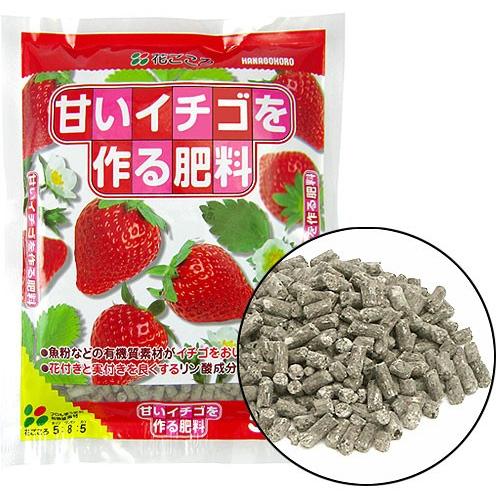 甘いイチゴを作る肥料 2kg Ha Hiryo 006 花育通販yahoo 店 通販 Yahoo ショッピング