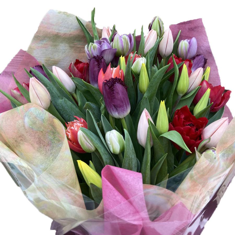 生花 切花 チューリップの花束 ミックス50本 富山県砺波市産 フラワーギフト 誕生日 記念日 お祝い Ki Hanataba 003 花育通販yahoo 店 通販 Yahoo ショッピング
