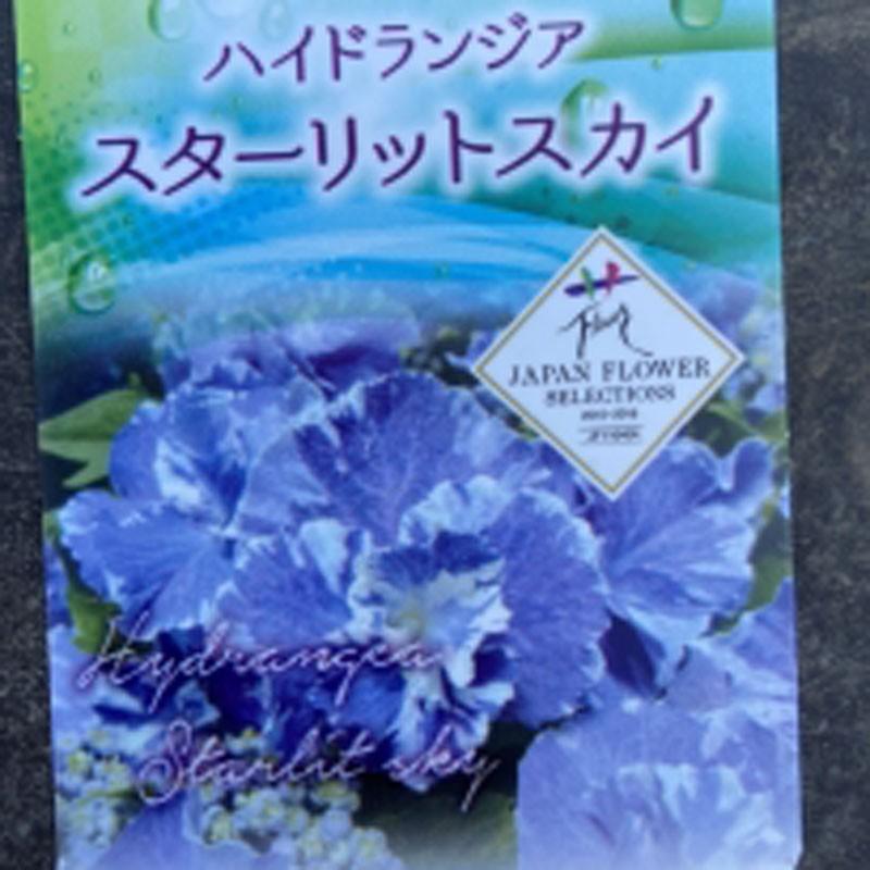 【花苗】ハイドランジア スターリットスカイ タグ付き正規品 紫陽花 あじさい 楽天市場】アジサイ スターリットジュエル 10.5cm 登録品種