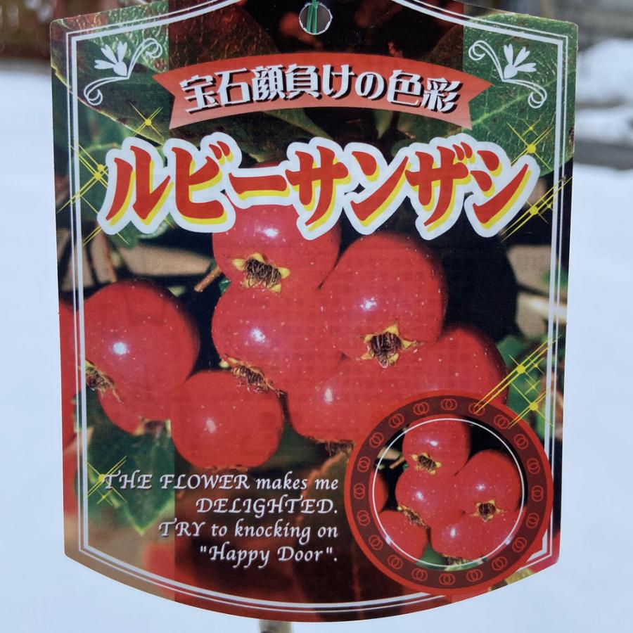 サンザシの実 苗木 植木 の商品一覧 花 ガーデニング 通販 Yahoo ショッピング