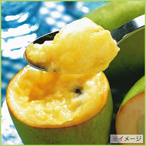 果樹苗木 ポポー（ポーポー） : 植物・園芸専門店 花育通販Yahoo!店