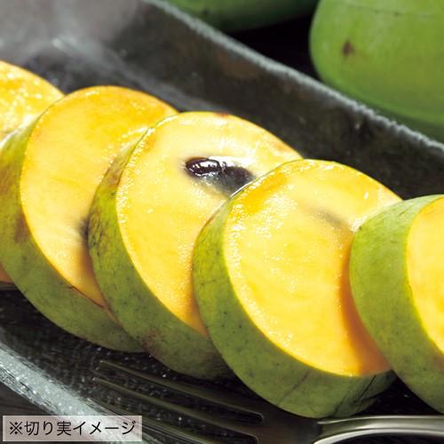果樹苗木 ポポー（ポーポー）・スイートアリス : 植物・園芸専門店 花 