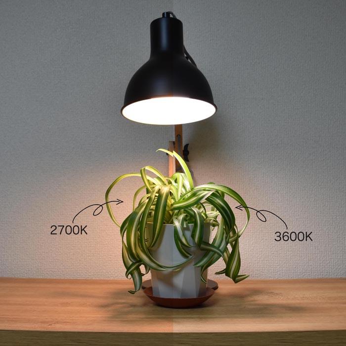 植物育成LED LPLシリーズ LPL05WB 口径E26 植物栽培ライト　（電球のみ）｜hanaikushop｜03