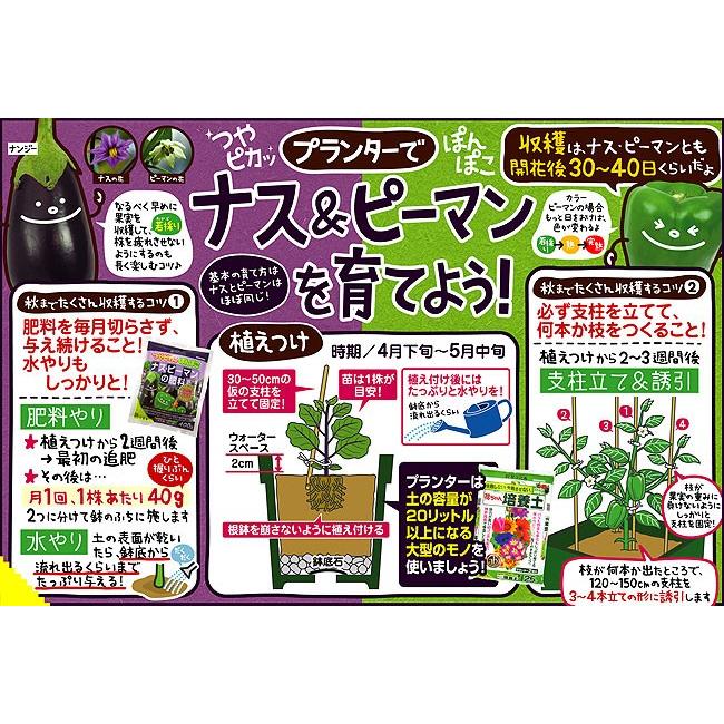 予約販売 韓国唐辛子 朝鮮なんばん激辛の苗 : 植物・園芸専門店 花育