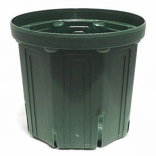 スリット鉢（8号鉢）CSM-240 : 植物・園芸専門店 花育通販Yahoo!店