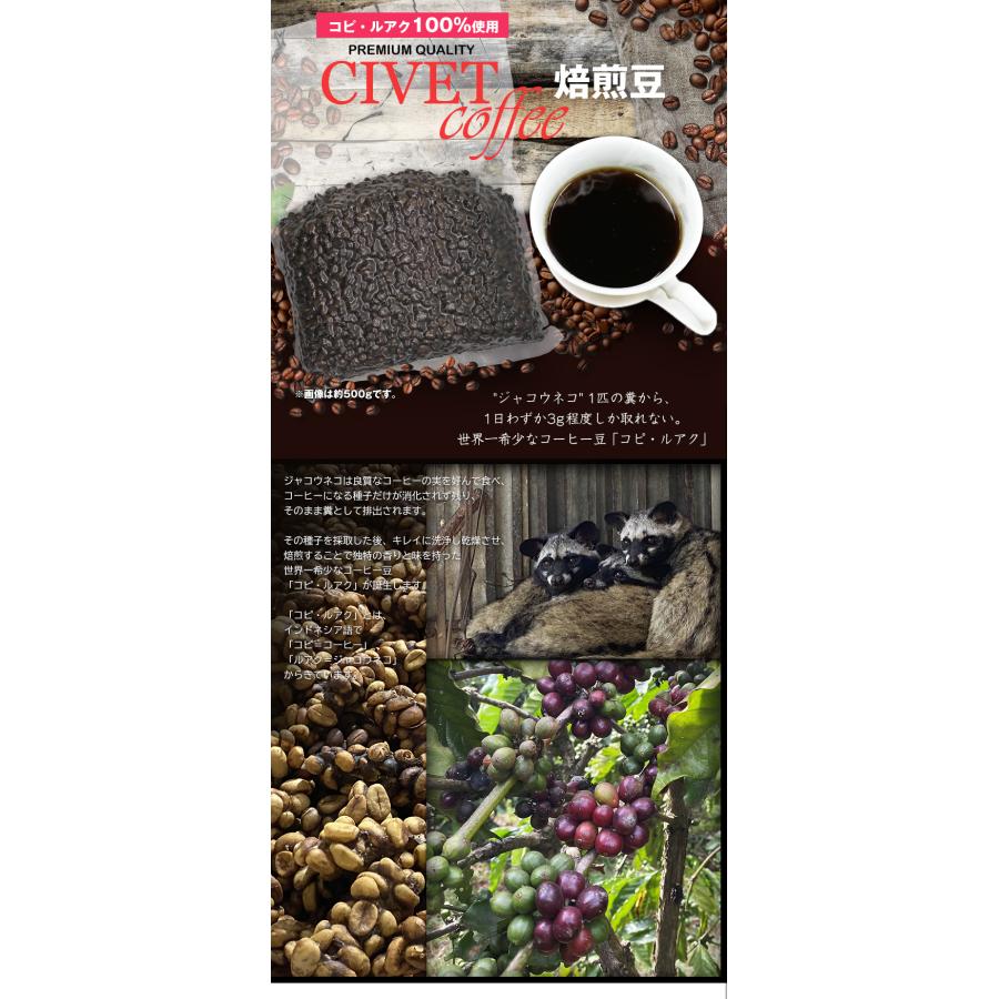 ジャコウネココーヒー 100g シベットコーヒー コピルアク 100 ジャコウネココーヒー 100g シベットコーヒー コピルアク 100