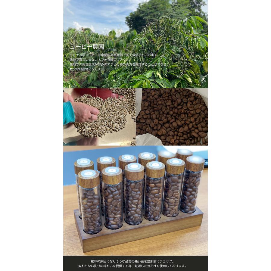 ジャコウネココーヒー 100g シベットコーヒー コピルアク 100