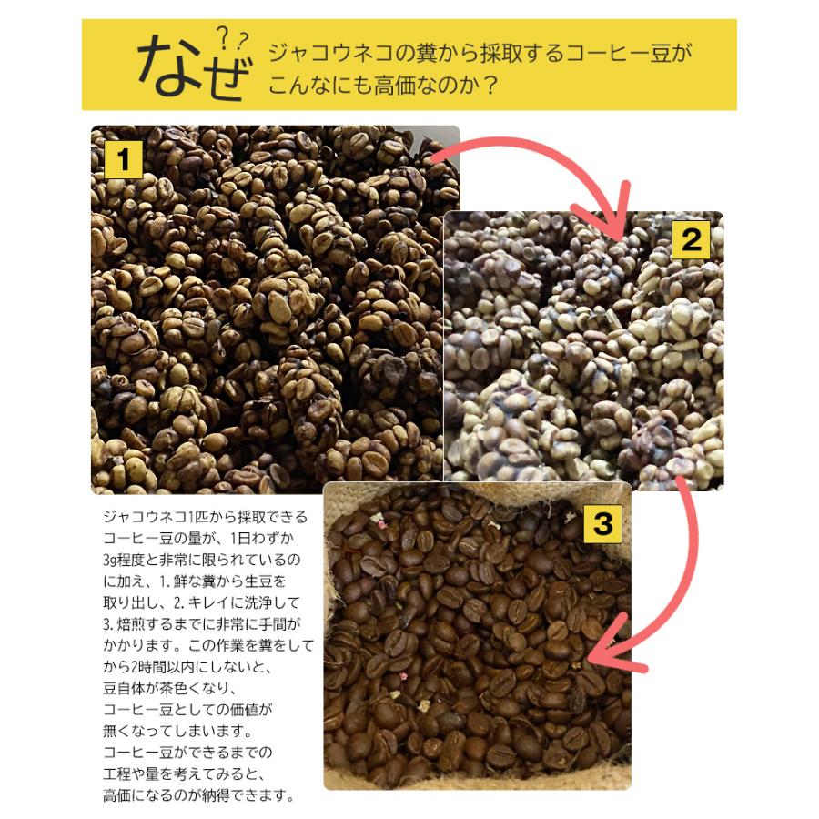 ジャコウネココーヒー コピルアク アラビカ種 コーヒー 豆 珈琲 希少