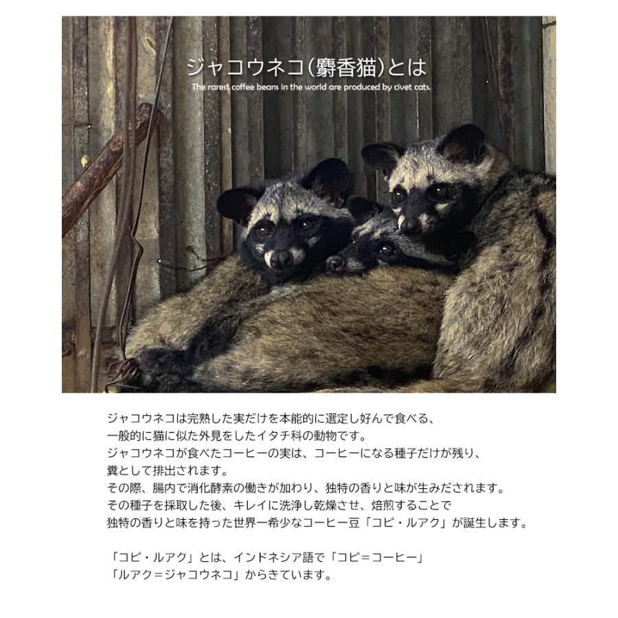 ジャコウネココーヒー コピルアク アラビカ種 カペ・アラミド コーヒー