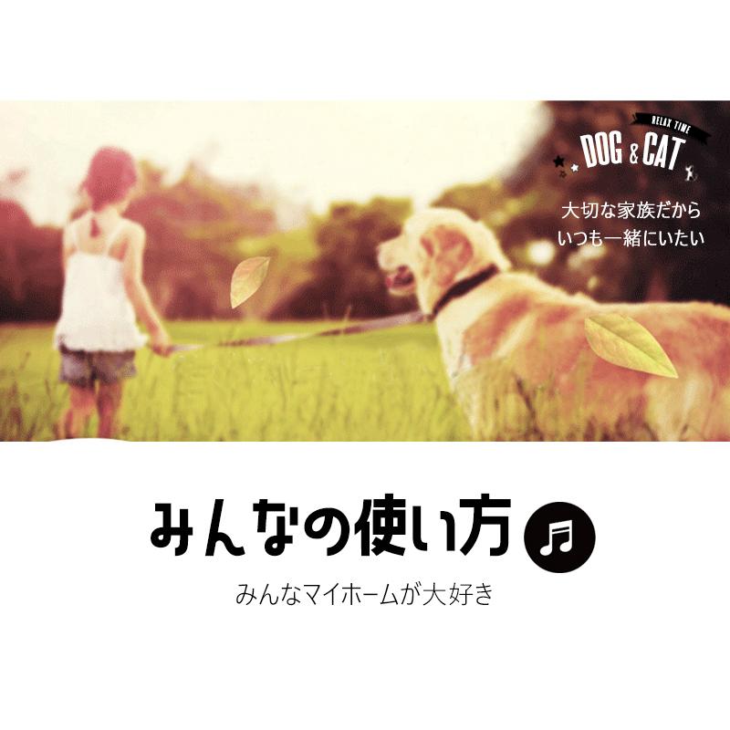 ペット用 お家 DH-1 Lサイズ ハウス ベッド 部屋 ペット部屋 小屋 ゲージ お洒落 犬 猫 ナチュラルの画像