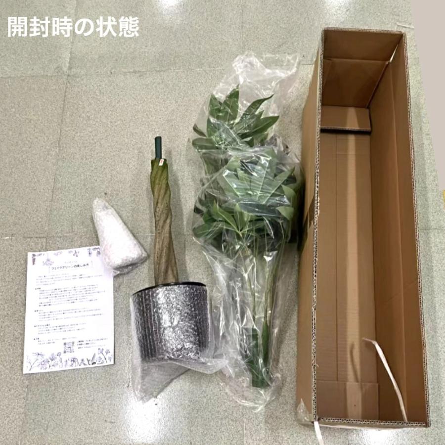 パキラ 人工観葉植物 フェイクグリーン 観葉植物 フェイク 大型 造花 100cm インテリア 【生花店監修】 送料無料 ※北海道、沖縄県、離島を除く 【ロジ発送】の画像