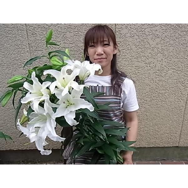 最高品質カサブランカ 5輪付 5本の花束 : Hanakuma Yahoo!店 - 通販