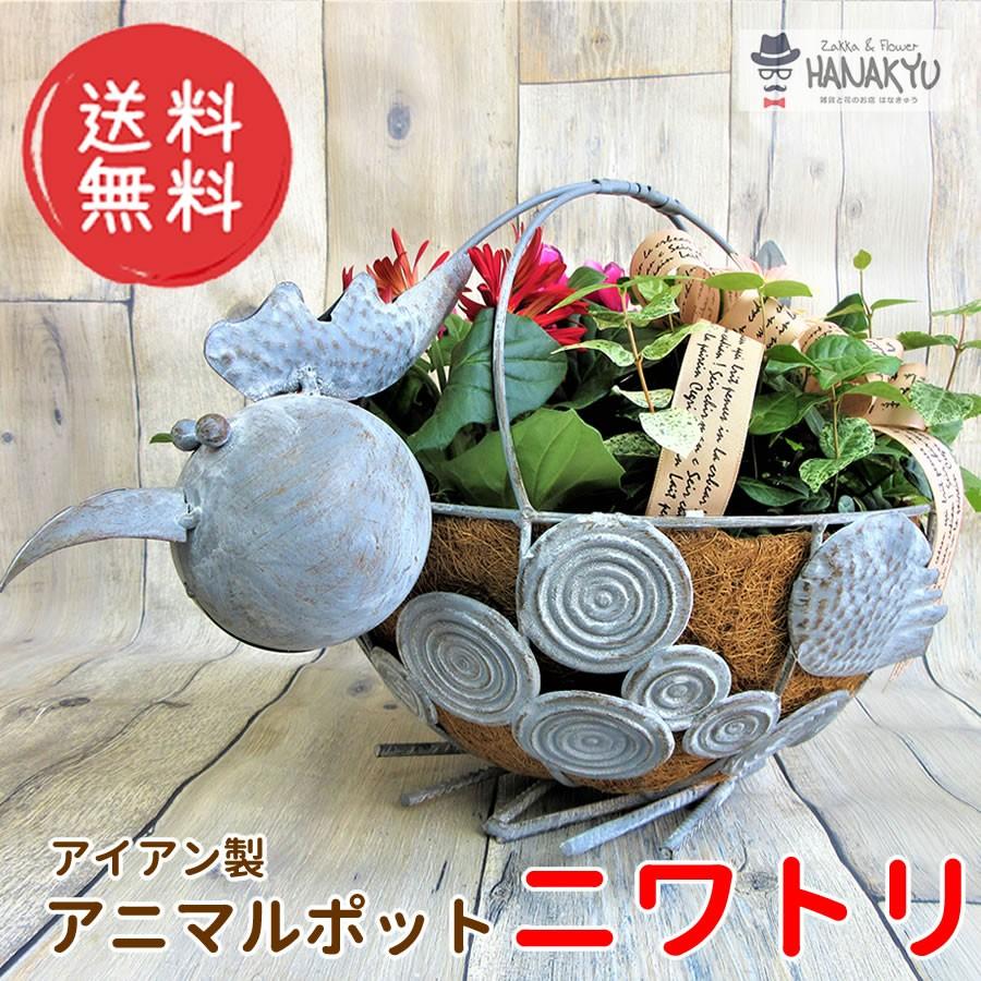 送料無料 プランター ポット 鉢 かわいい アニマル 動物 ニワトリ ナチュラルヤシマット付き Hanakyu Dc Bap19 N01 Zakka Flower Hanakyu 通販 Yahoo ショッピング