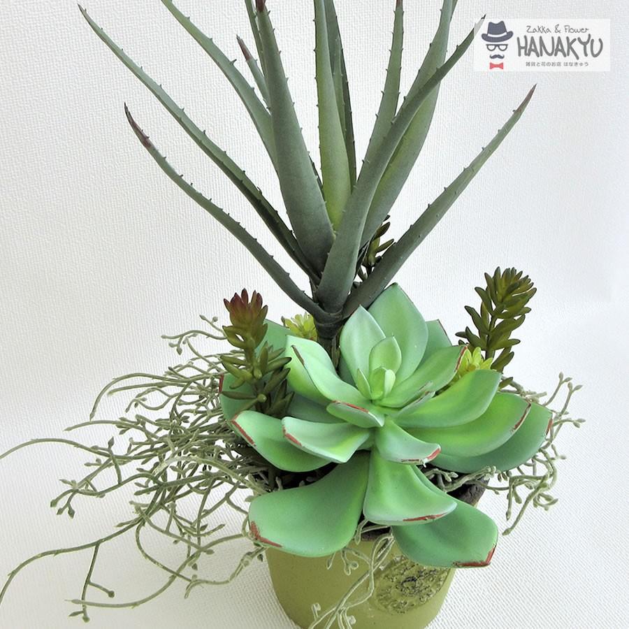 送料無料 多肉植物 寄せ植え アレンジ 造花 グリーンアート おしゃれ フェイクグリーン 鉢入り 人工観葉 Hanakyu Ga 0005 Zakka Flower Hanakyu 通販 Yahoo ショッピング