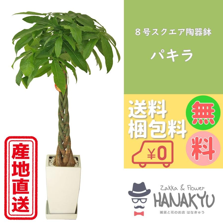 大人気 【即日発送】 MIO3KT8J6KR [MIO3KT8J6KR]