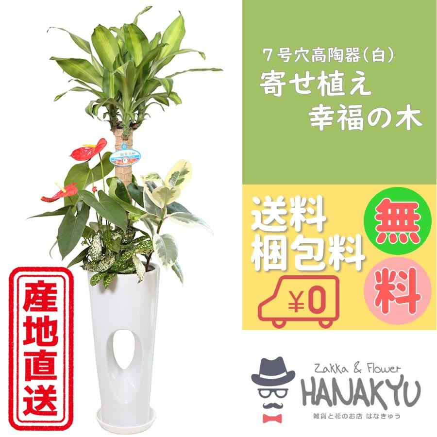 売れ筋 あす楽対応  【MM1BWHKRL0K】 限定デザイン