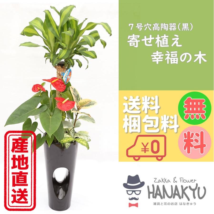 [SNSで話題 ] MJL0OZCOSID (MJL0OZCOSID)