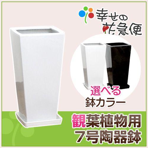 7号角高陶器鉢(白・黒) A-029【用土別売】送料無料 観葉植物 植木鉢
