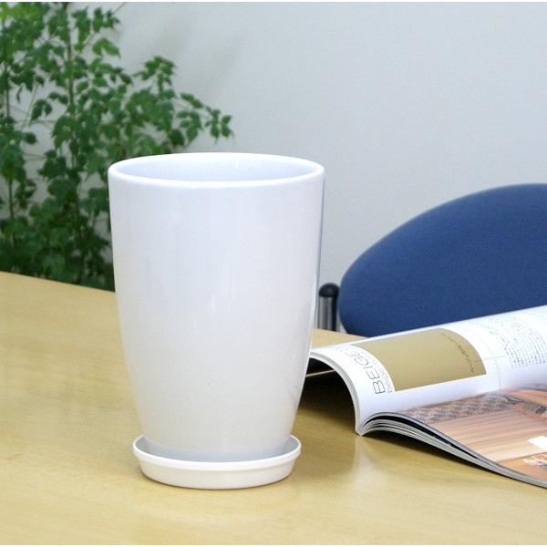6号陶器鉢(白) A038 A033【用土別売】送料無料 観葉植物 植木鉢 6号陶器鉢(白) A038 A033【用土別売】送料無料 観葉植物 植木鉢