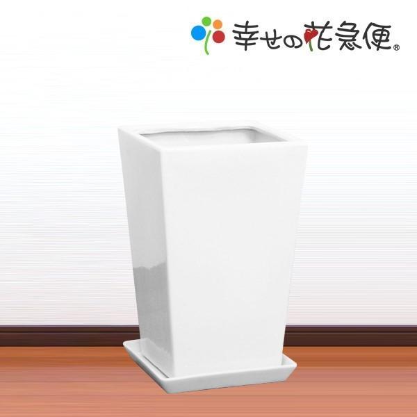 9号角陶器鉢(白) A-012-9【用土別売】送料無料 観葉植物 植木鉢 大型