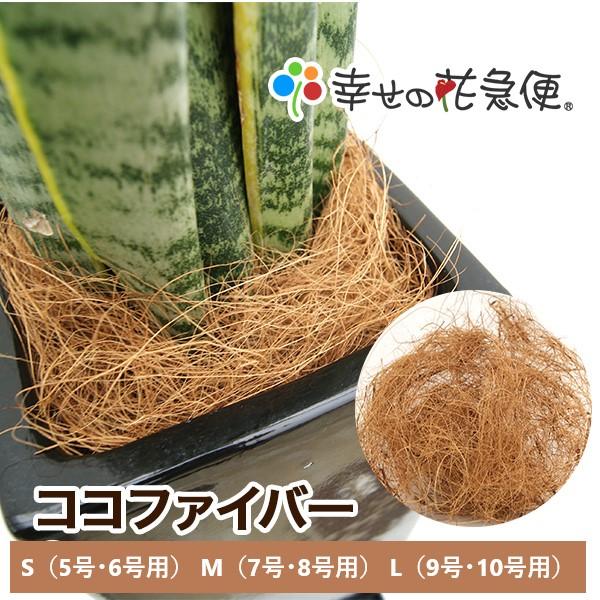 7号角陶器鉢(白黒) A-012-7【用土別売】送料無料 観葉植物 植木鉢 植え