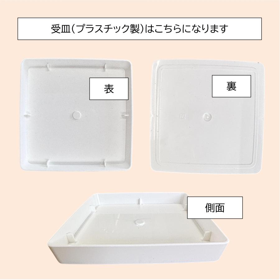 7号角陶器スリム鉢(白赤黒) A-538-7【用土別売】送料無料 観葉植物