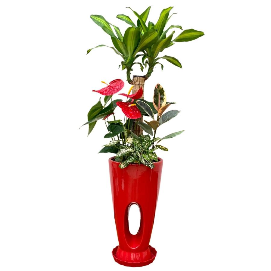 観葉植物 寄せ植え-7号穴高陶器鉢 人気 開店祝い インテリア