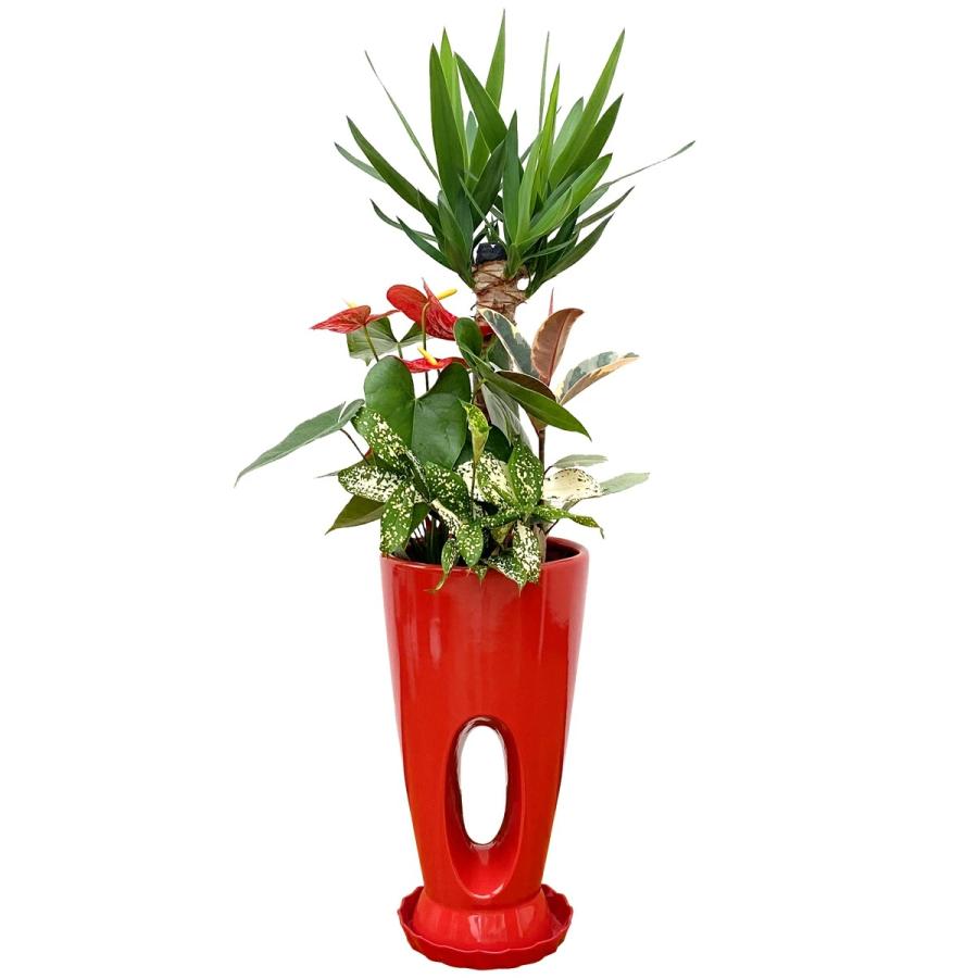 観葉植物 寄せ植え-7号穴高陶器鉢 人気 開店祝い インテリア