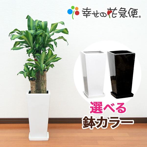 MO332L1PDW6 型番:MO332L1PDW6