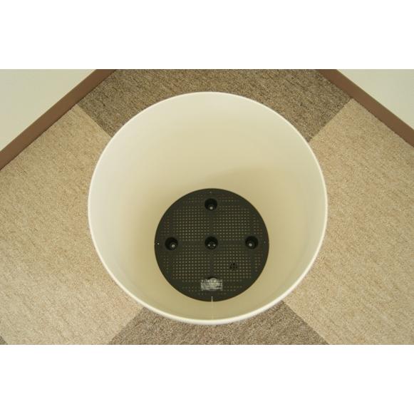 u*8様 王冠竜 10号鉢 佐川急便発送込 u*8様 王冠竜 10号鉢 佐川急便発送込 u*8