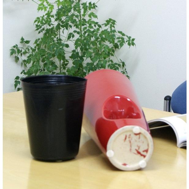 6号穴あき陶器鉢 鉢カバー 底穴なし 受皿なし 57 送料無料 観葉植物 植木鉢 植え替え 観葉植物の生産直売 幸せの花急便 通販 Yahoo ショッピング
