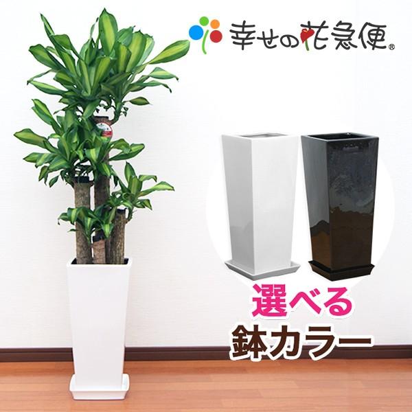 MOWBQ04JALK 型番:MOWBQ04JALK
