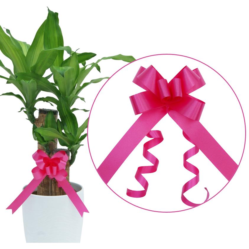 期間限定お値上げ中！9000→8580】円】パキラ ねじり 8寸プラ鉢 期間