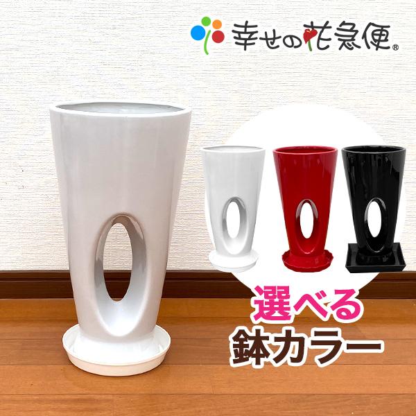 7号穴高陶器鉢(白赤黒) A-942【用土別売】送料無料 観葉植物 植木鉢